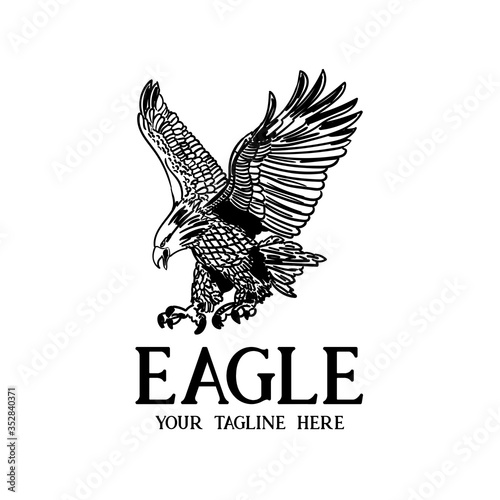 Eagle illustration on white background. eagle drawing vector