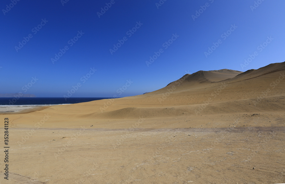 The splendid natural reserve of Paracas, Peru The splendid natural reserve of Paracas, Peru