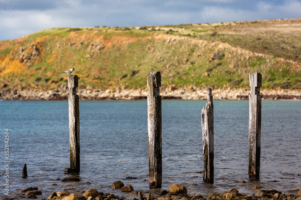 The iconic jetty ruins located on the Myponga beach on the Fleurieu Peninsula South Australia on the 24th May 2020 The iconic jetty ruins located on the Myponga beach on the Fleurieu Peninsula South Australia on the 24th May 2020