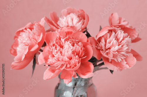 Large blooming coral  peonies in a glass jar