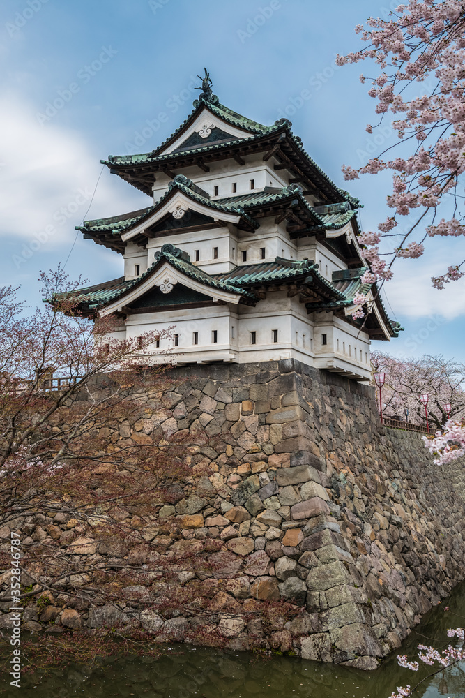Hirosaki Castle and Cherry Blossoms, Japan