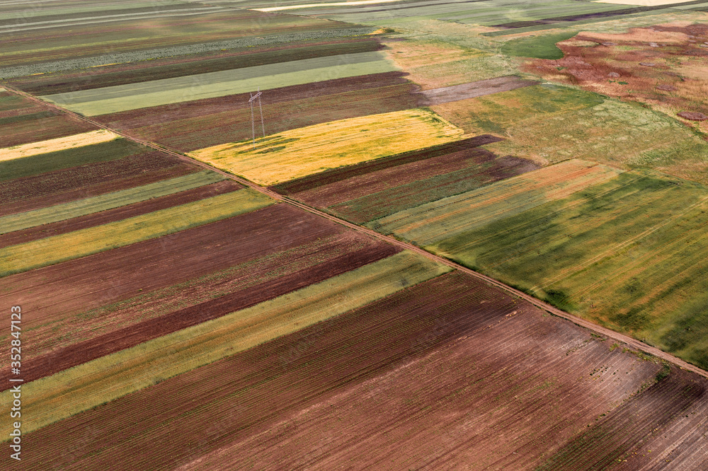 Aerial view of cultivated fields