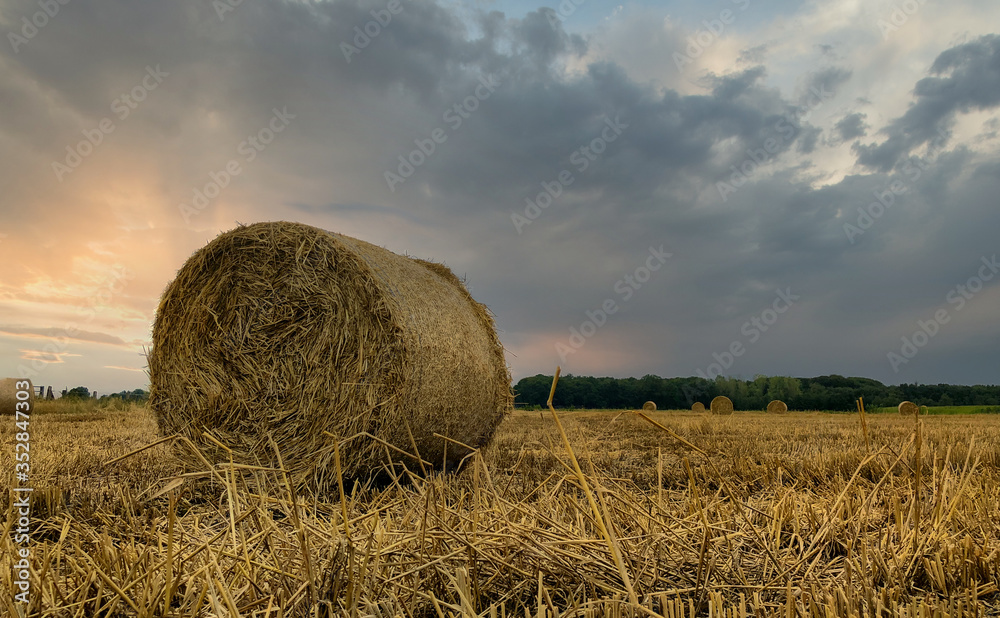 Beautiful view of a dramatic sunset sky over harvested hay field with hay bales in the Kempen area, Belgium