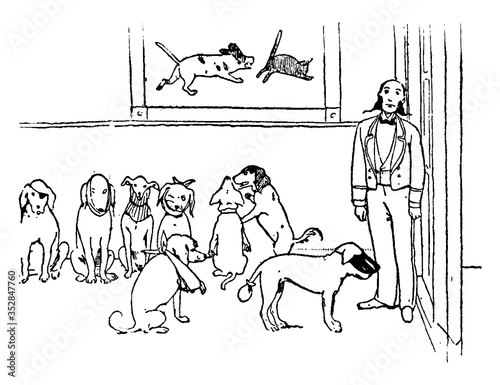 Dogs, vintage illustration