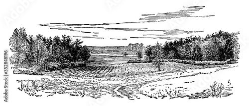 Bloody Angle of Spotsylvania, vintage illustration.
