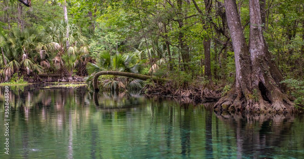Obraz premium Springs in florida 2