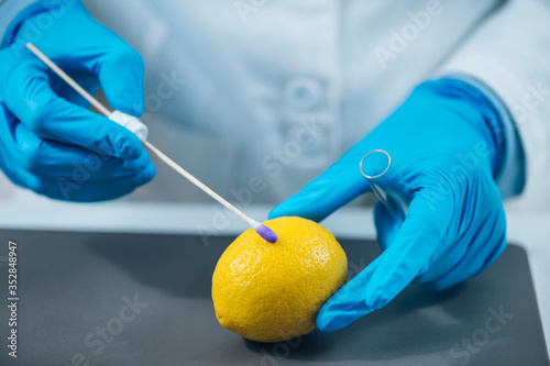 Food Quality Control Expert Examining Lemon Fruit in Laboratory photo