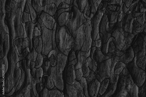 Close-up of black old pine tree bark texture. Abstract trendy dark nature background for design, decor and skins.