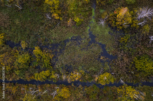 swamp view from drone. Swampy landscape. View of an impassable swamp from height. Aerial photography.