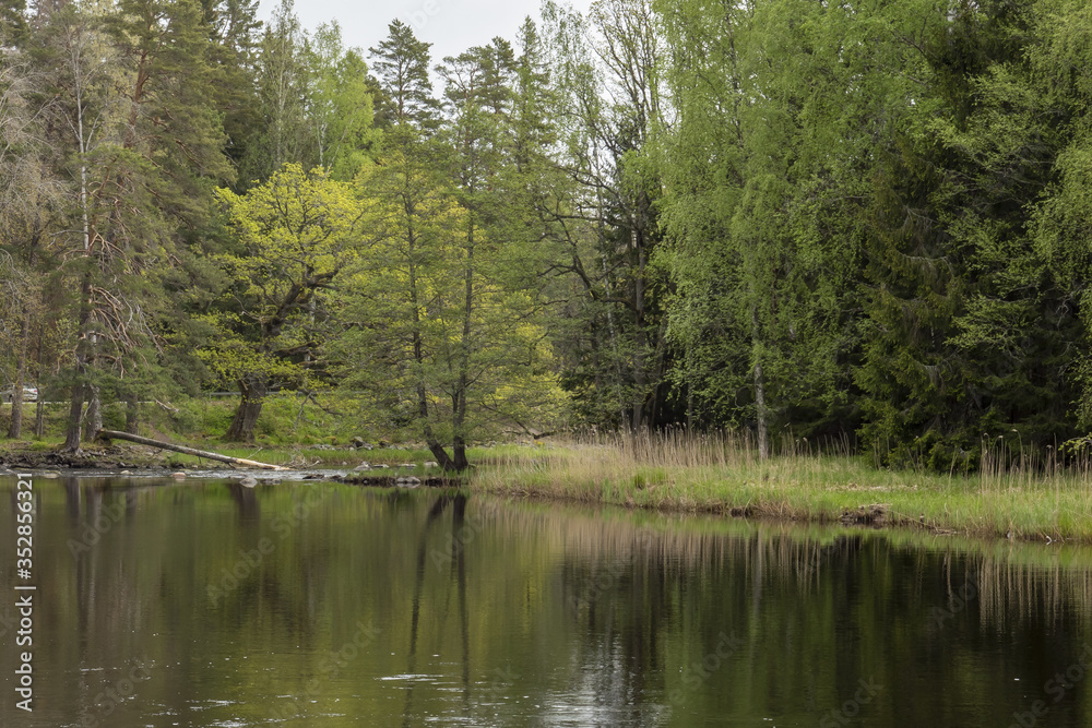 Scenic view of a river in spring. Farnebofjarden national park in Sweden.