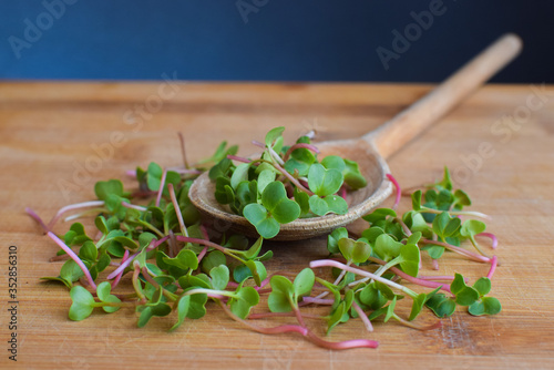 Fotografie Close-up of radish microgreens on wooden spoon