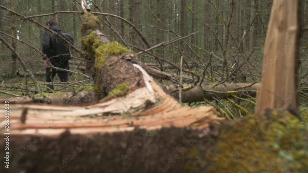 Close up look on hiking boots crossing fallen tree. Men hiking in forest with black boots.
Close up look on hiking boots crossing fallen tree. Men hiking in forest with black boots.