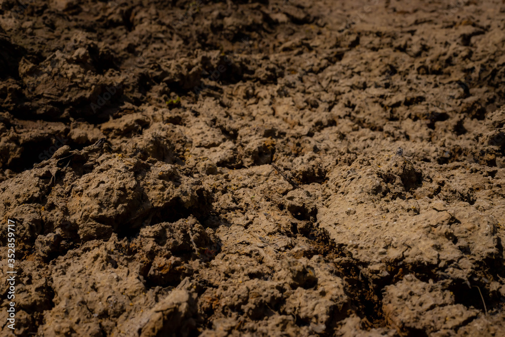 Drought, the ground cracks, no water, lack of moisture. Dried and Cracked ground,Cracked surface,Dry soil in arid areas. texture background Drought, the ground cracks, no water, lack of moisture. Dried and Cracked ground,Cracked surface,Dry soil in arid areas. texture background