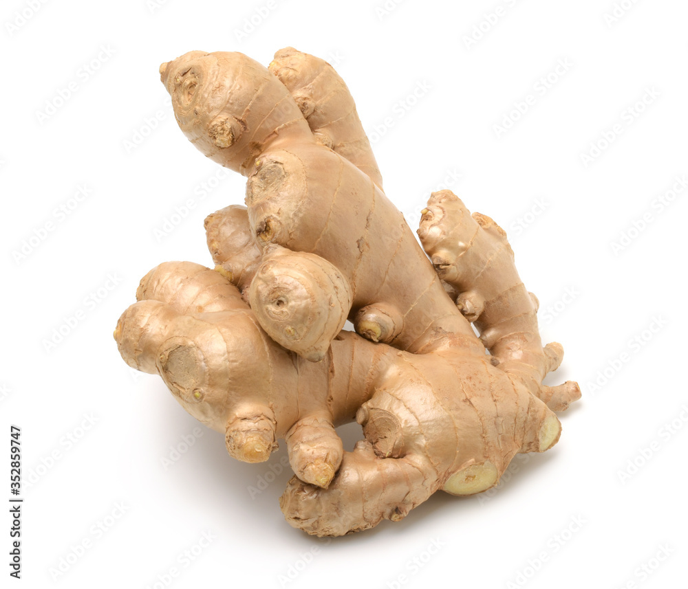 Close up,Big ginger root isolated on white background,For making tea and herbal medicine.