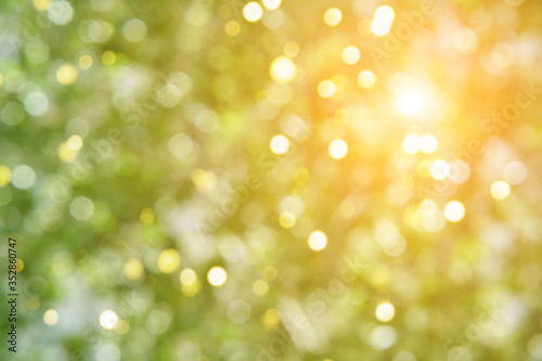 Colorful bokeh background. Business blurry wallpaper. Abstract soft texture. Dreamy sunlights. Card decoration. Glamour backdrop. Bush leaves enviroment. Green and orang sun light