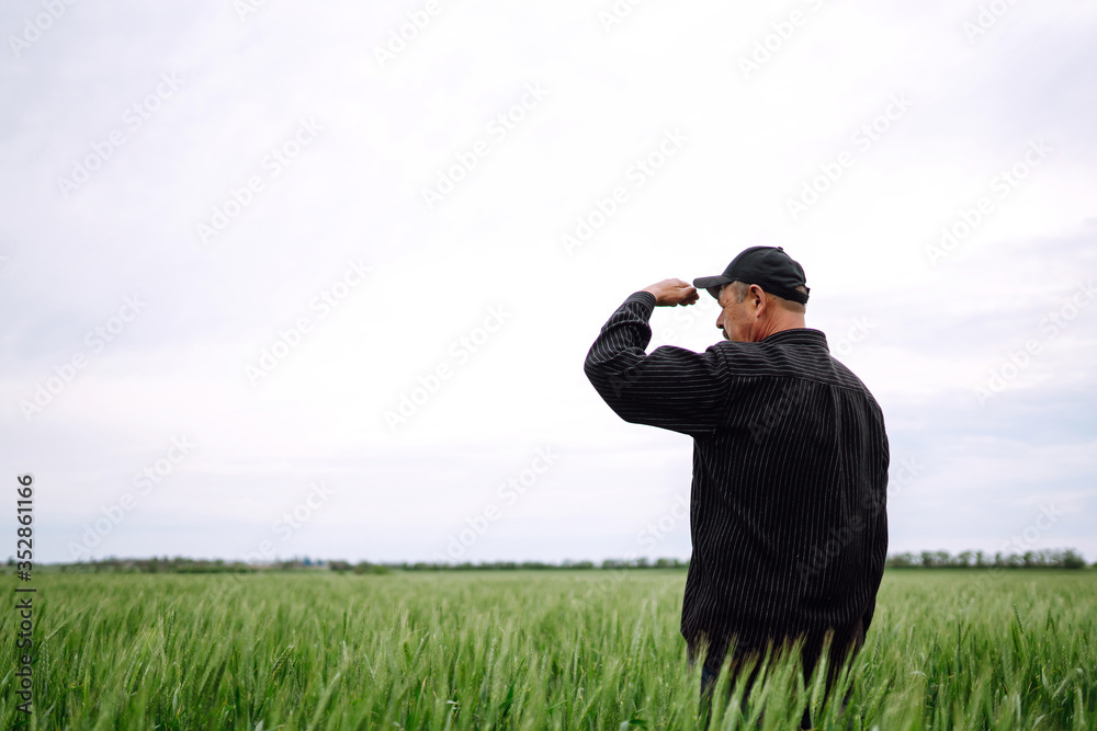 Farmer in a green wheat field. Agricultural growth and farming business concept. Farmer in a green wheat field. Agricultural growth and farming business concept.