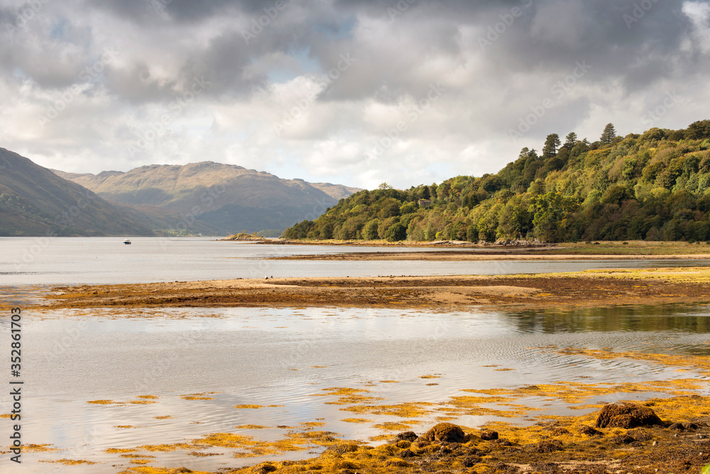 Loch Sunart low tide with seaweed and typical Scottish light