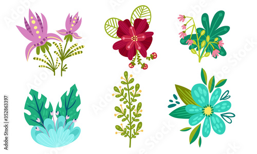 Fancy Shaped Floral Compositions with Green Branches and Flower Buds Vector Set