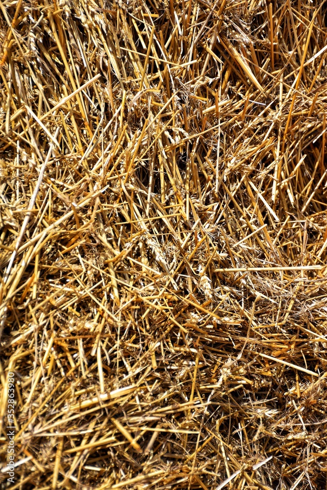 straw straw