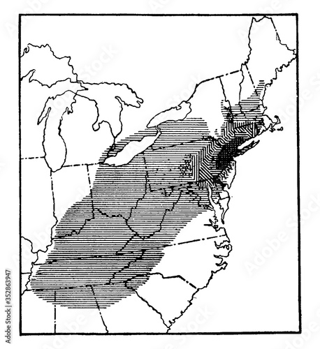 Distribution of Chestnut Blight, vintage illustration.