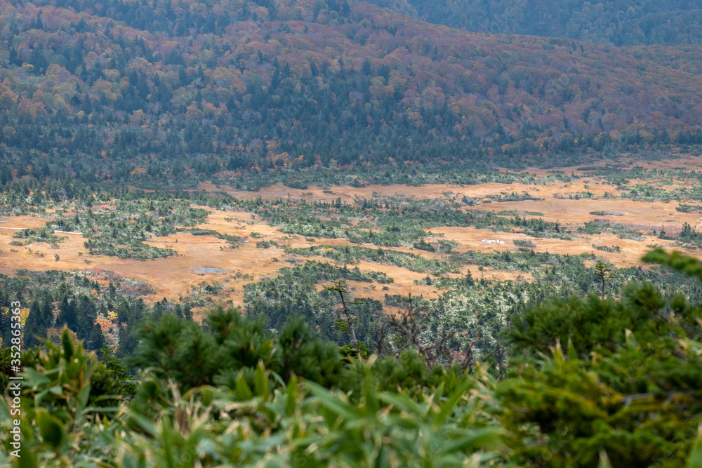 The forest and mountain of Japan between the epidemic COVID-19