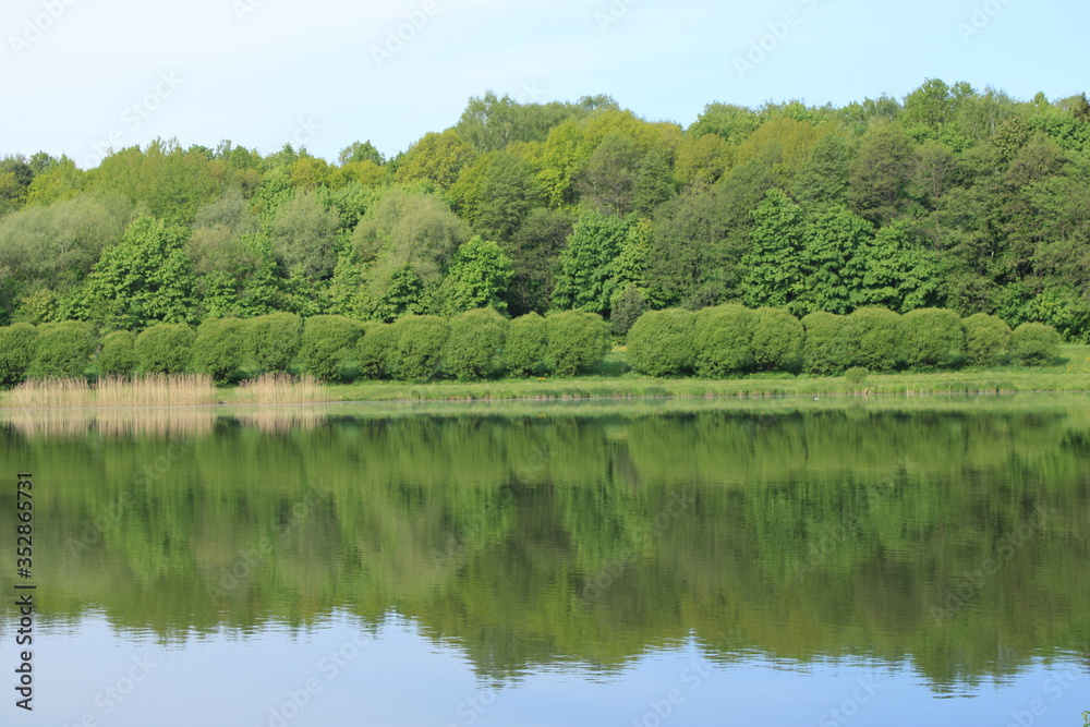 Fototapeta premium On the bank of the pond in the city forest park