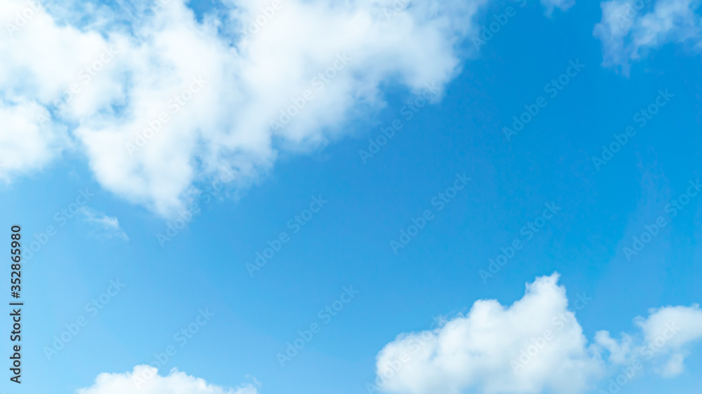 custom made wallpaper toronto digital青空・雲