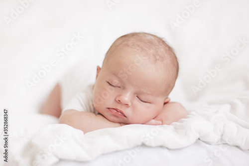 newborn baby sleeps