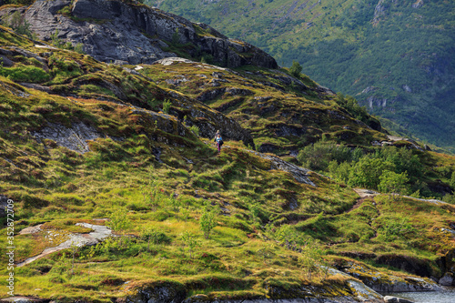 Lofoten landscape panoramic...