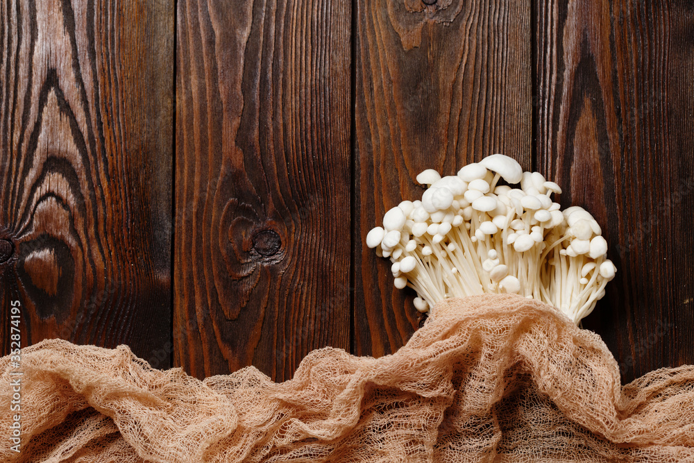 Enoki, Enokitake, Flammulina velutipes, edible mushroom popular in Japanese cuisine