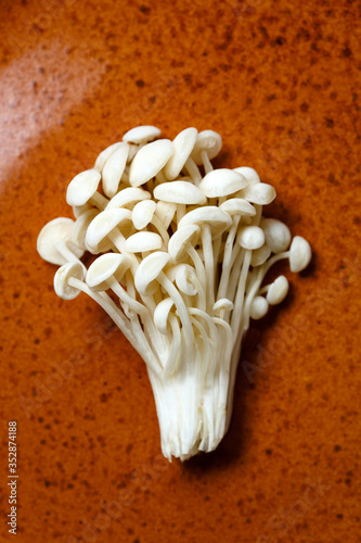 Enoki, Enokitake, Flammulina velutipes, edible mushroom popular in Japanese cuisine photo