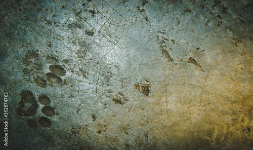 Cat footprints on an old dirty concrete floor