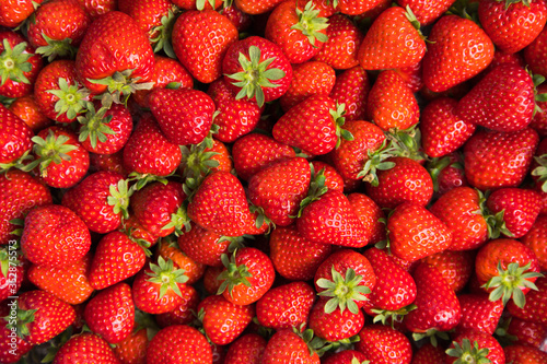 Fresh Organic Strawberries Top View