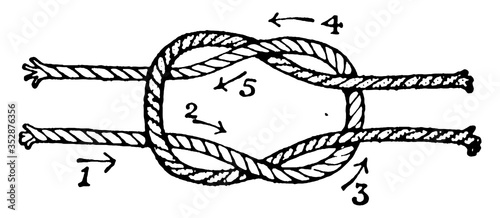 Knots/Reef knot or Square knot, vintage illustration