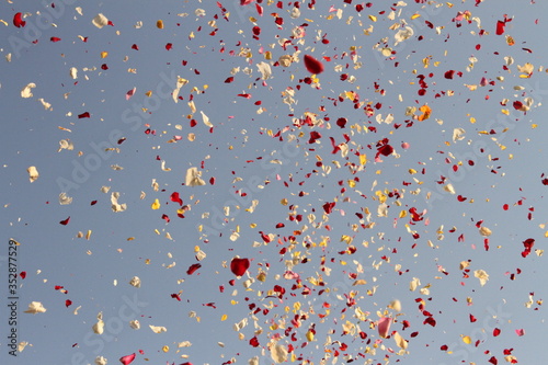 rose petals falling from the sky