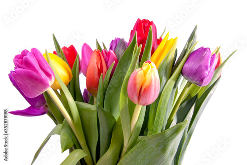 Fototapeta Naklejka Na Ścianę i Meble -  Bouquet of colorful typical Dutch tulips