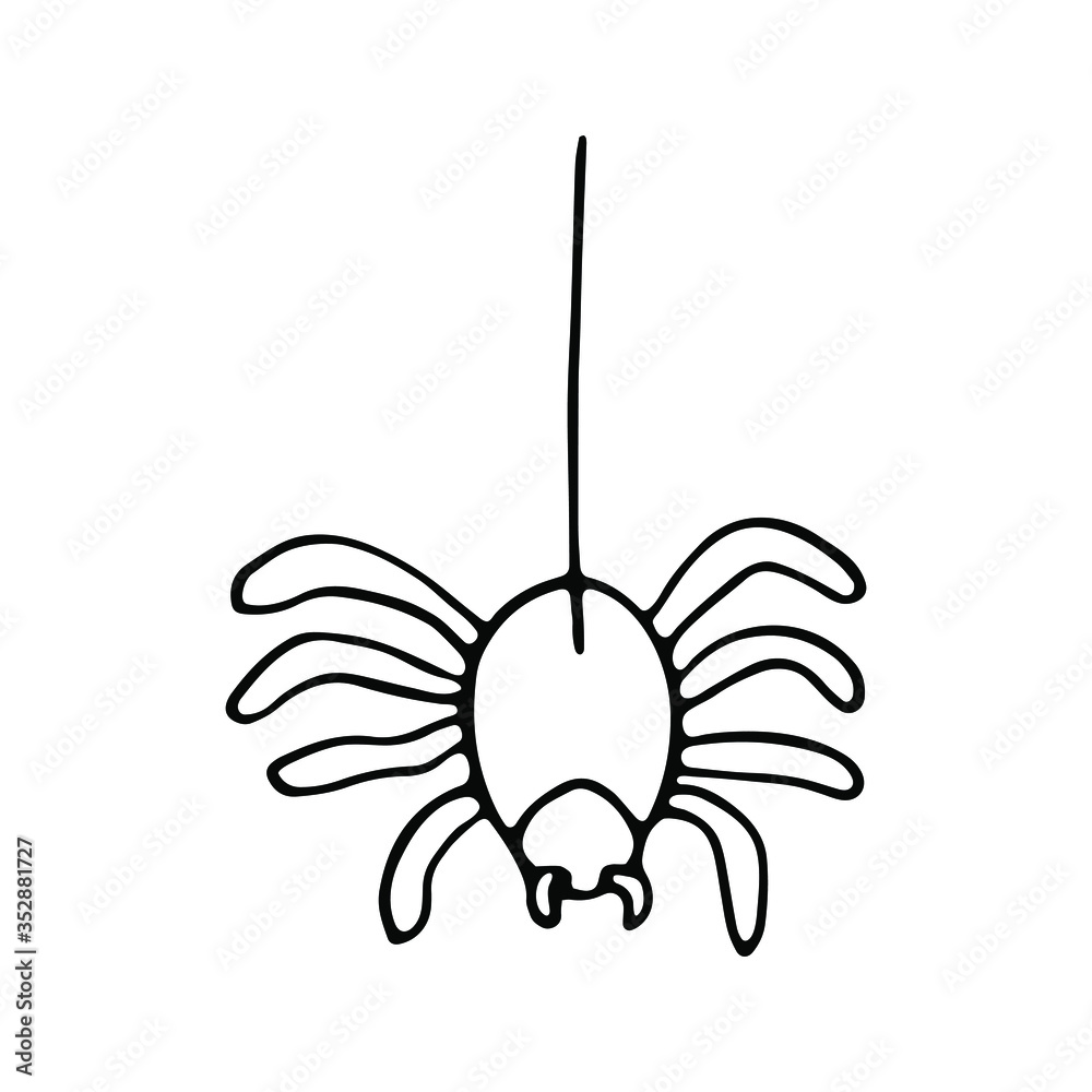 Isolated hand drawn vector illustration of spider in doodle style. Halloween's element for party, poster, invitation, any design. Danger animal. Black and white.
Isolated hand drawn vector illustration of spider in doodle style. Halloween's element for party, poster, invitation, any design. Danger animal. Black and white.