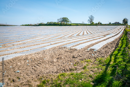 Tableau sur toile Bio Farming on farmland near Beetham UK