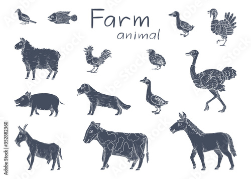 vector illustration of farm animal. hand drawn collection.