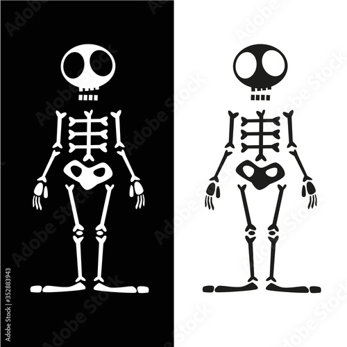 Human Skeleton