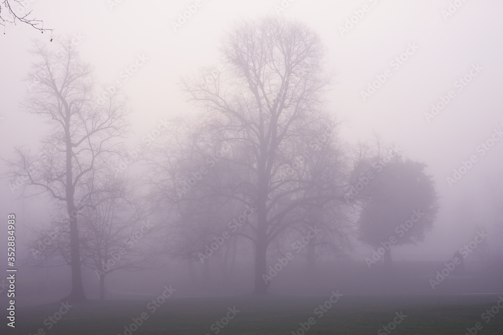 London foggy parks, London foggy parks,