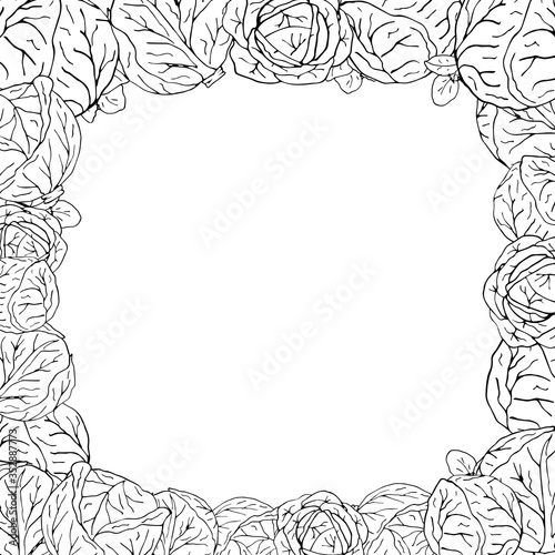 Frame of vegetables cabbage with copy-space. Vector illustration black and white doodle on white background, isolated cut-out objects
