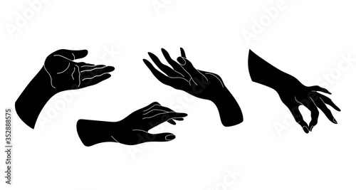 Set of images of hands. Different positions of the hands.