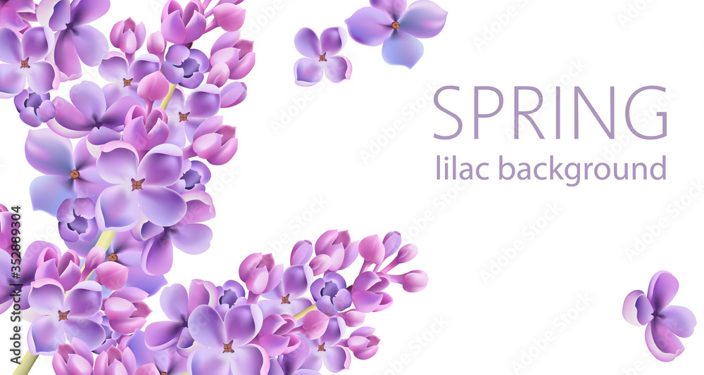 Lilac flower background. Springtime flowers. Watercolors