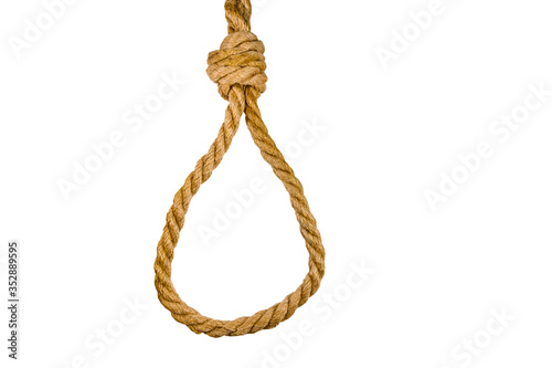 Canvas-taulu Rope with noose for the suicide isolated on white background