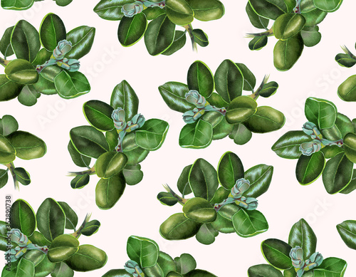 Seamless pattern with eucalyptus branches