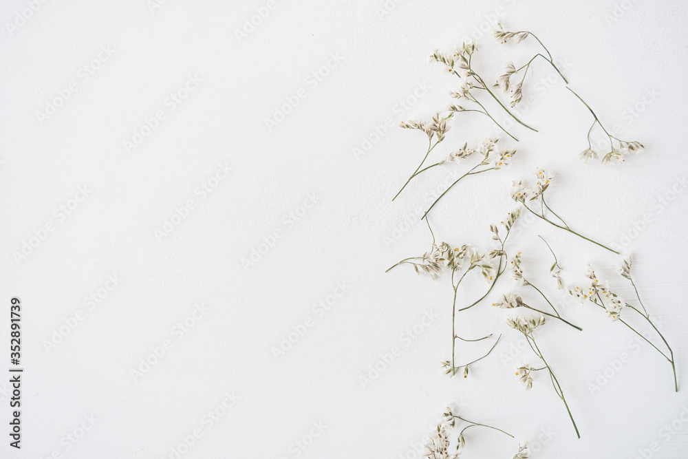 White flowers on white background. Flat lay, top view floral holiday celebration composition. Wedding, Valentine's Day, Mothers Day.