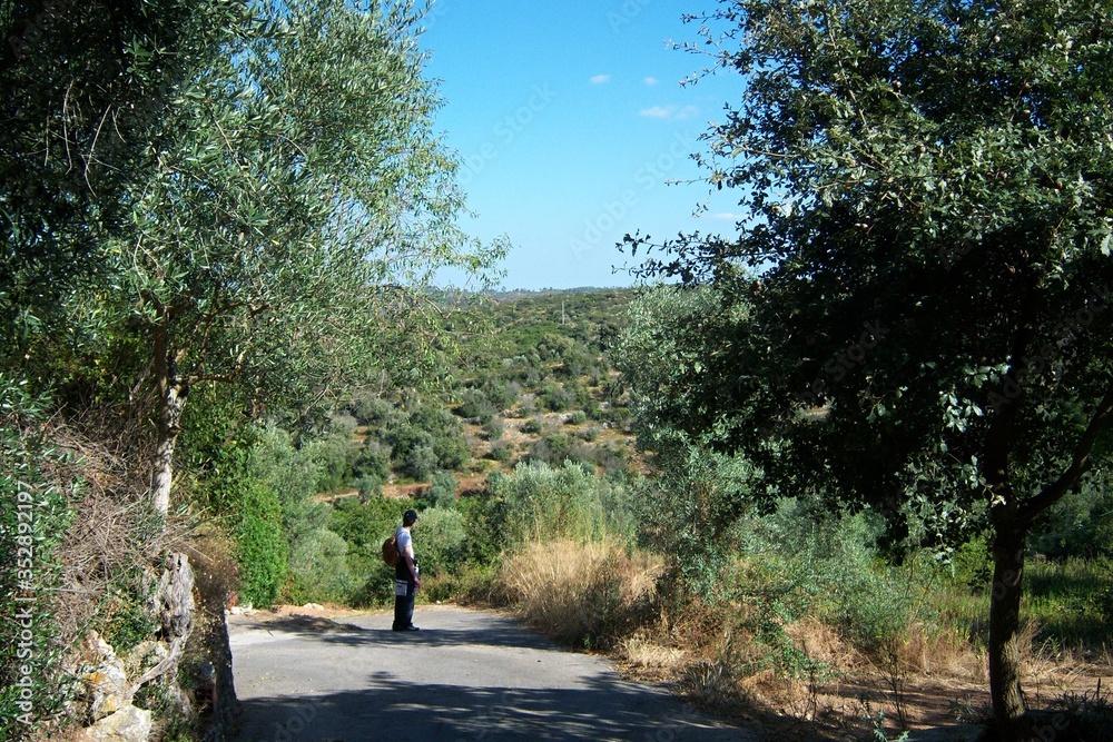 Obraz premium A Piedi