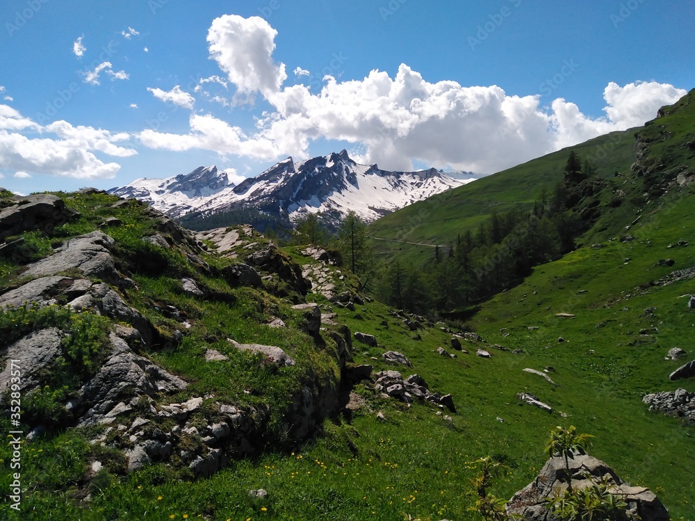 mountain landscape in the alps very green high altitude, paysage de montagne vert haute altitude été avec rochers et vue, vallée du Sanetsch, Suisse, Switzerland 