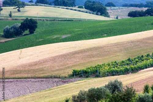 Provincia di Ancona, Marche. Paesaggio rurale a primavera